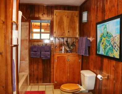 wood-paneled bathroom