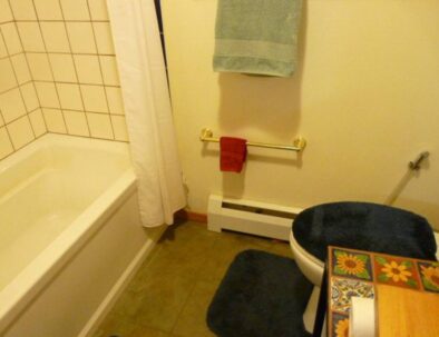 shower bath and Mexican tile side table