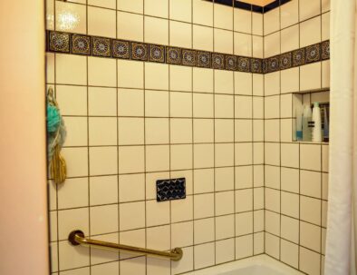 shower bath with Mexican tiles