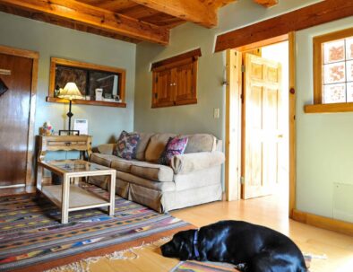 Tanager suite foyer with sleeper sofa