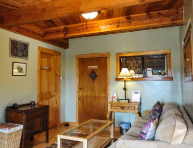 Tanager suite foyer with sleeper sofa